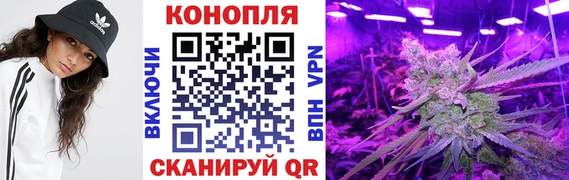 Купить закладку APVP Каннабис Меф Гашиш COCAIN Гатчина