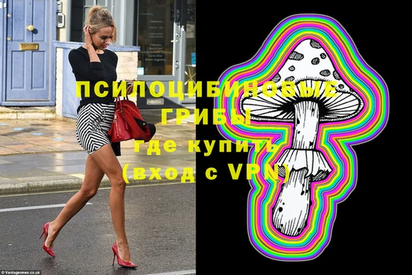 ПСИЛОЦИБИНОВЫЕ ГРИБЫ Касимов